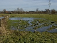 NL, Noord-Brabant, Geldrop-Mierlo, Gijzenrooische Zegge 8, Saxifraga-Jan van der Straaten