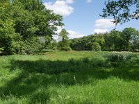 NL, Netherlands, Goirle, Leij valley in Landgoed De Hoevens 4, Saxifraga-Tom Heijnen