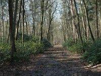 NL, Noord-Brabant, Goirle, Gorp en Rovert 1, Saxifraga-Jan van der Straaten