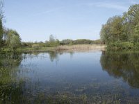 NL, Noord-Brabant, Goirle, Landgoed De Hoevens 13, Saxifraga-Willem van Kruijsbergen