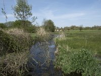 NL, Noord-Brabant, Goirle, Landgoed De Hoevens 21, Saxifraga-Willem van Kruijsbergen