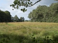 NL, Noord-Brabant, Goirle, Ooijevaarsnest 2, Saxifraga-Willem van Kruijsbergen