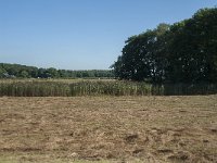 NL, Noord-Brabant, Goirle, Poppelsche Leij 7, Saxifraga-Willem van Kruijsbergen