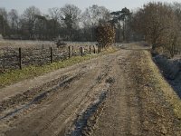 NL, Noord-Brabant, Goirle, Regte Heide 1, Saxifraga-Jan van der Straaten