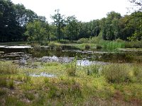 NL, Noord-Brabant, Goirle, Regte Heide 47, Saxifraga-Lucien Rommelaars