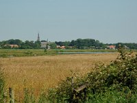 NL, Noord-Brabant, Goirle, Riels Laag 6, Saxifraga-Willem van Kruijsbergen