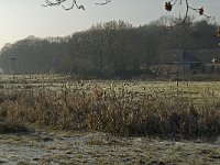 NL, Noord-Brabant, Goirle, Riels Laag 9, Saxifraga-Jan van der Straaten