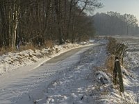 NL, Noord-Brabant, Heeze-Leende, Goorsche Putten, Strijper Aa 1, Saxifraga-Jan van der Straaten