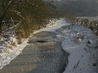 NL, Noord-Brabant, Heeze-Leende, Goorsche Putten, Strijper Aa 11, Saxifraga-Jan van der Straaten