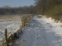 NL, Noord-Brabant, Heeze-Leende, Goorsche Putten, Strijper Aa 2, Saxifraga-Jan van der Straaten