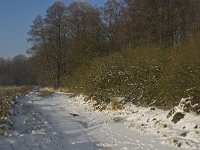 NL, Noord-Brabant, Heeze-Leende, Goorsche Putten, Strijper Aa 3, Saxifraga-Jan van der Straaten