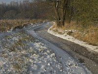 NL, Noord-Brabant, Heeze-Leende, Goorsche Putten, Strijper Aa 6, Saxifraga-Jan van der Straaten