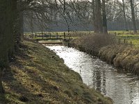 NL, Noord-Brabant, Heeze-Leende, Groote Aa, Kasteel Heeze 2, Saxifraga-Jan van der Straaten