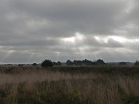 NL, Noord-Brabant, Heeze-Leende, Groote Heide 14, Saxifraga-Tom Heijnen