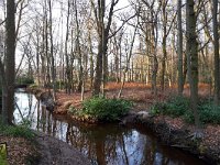 NL, Noord-Brabant, Heeze-Leende, Herbertusbossen 3, Saxifraga-Tom Heijnen