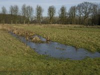 NL, Noord-Brabant, Heeze-Leende, Kasteel Heeze 5, Saxifraga-Jan van der Straaten