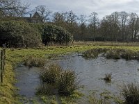 NL, Noord-Brabant, Heeze-Leende, Kasteel Heeze 7, Saxifraga-Jan van der Straaten