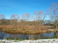 NL, Noord-Brabant, Heeze-Leende, Kleine Dommel in Rietvelden 2, Saxifraga-Tom Heijnen