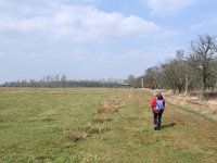 NL, Noord-Brabant, Heeze-Leende, Patersgronden & Uitkijktoren De Achelse Kluis 1, Saxifraga-Tom Heijnen