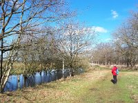 NL, Noord-Brabant, Heeze-Leende, Patersgronden 12, Saxifraga-Tom Heijnen