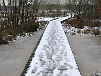 NL, Noord-Brabant, Heeze-Leende, Patersgronden 3, Saxifraga-Tom Heijnen