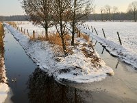 NL, Noord-Brabant, Heeze-Leende, Rielloop E of Strabrecht 1, Saxifraga-Tom Heijnen