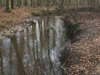 NL, Noord-Brabant, Heeze-Leende, Sterkselsche Aa, Herbertusbossen 1, Saxifraga-Jan van der Straaten