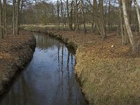 NL, Noord-Brabant, Heeze-Leende, Sterkselsche Aa, Herbertusbossen 2, Saxifraga-Jan van der Straaten