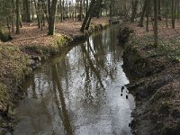 NL, Noord-Brabant, Heeze-Leende, Sterkselsche Aa, Kasteel Heeze 2, Saxifraga-Jan van der Straaten