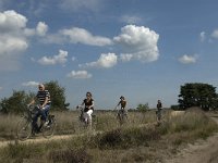 NL, Noord-Brabant, Heeze-Leende, Strabrechtsche Heide 2, Saxifraga-Marijke Verhageni