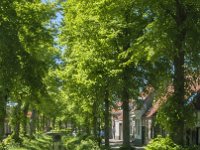 NL, Noord-Brabant, Heusden 4, Saxifraga-Jan van der Straaten