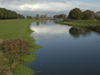 NL, Noord-Brabant, Heusden, Baardwijksche Overlaat 6, Saxifraga-Jan van der Straaten