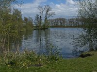 NL, Noord-Brabant, Heusden, Haarsteegs Wiel 15, Saxifraga-Jan van der Straaten