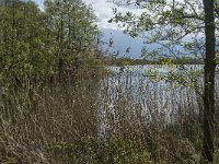 NL, Noord-Brabant, Heusden, Haarsteegs Wiel 17, Saxifraga-Jan van der Straaten