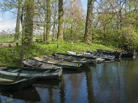 NL, Noord-Brabant, Heusden, Haarsteegs Wiel 18, Saxifraga-Jan van der Straaten