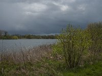 NL, Noord-Brabant, Heusden, Haarsteegs Wiel 22, Saxifraga-Jan van der Straaten