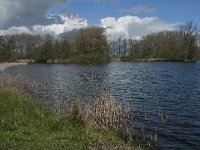 NL, Noord-Brabant, Heusden, Haarsteegs Wiel 9, Saxifraga-Jan van der Straaten