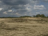 NL, Noord-Brabant, Heusden, Loonse en Drunense Duinen 19, Saxifraga-Marijke Verhagen