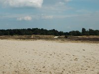 NL, Noord-Brabant, Heusden, Loonse en Drunense Duinen 4, Saxifraga-Jaap Bouwman