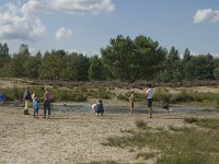 NL, Noord-Brabant, Heusden, Loonse en Drunense Duinen 56, Saxifraga-Marijke Verhagen