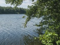 NL, Noord-Brabant, Heusden, Roeivijver Drunen 7, Saxifraga-Jan van der Straaten