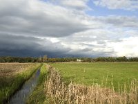 NL, Noord-Brabant, Heusden, Vlijmensch Ven 4, Saxifraga-Jan van der Straaten