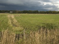 NL, Noord-Brabant, Heusden, Vlijmensch Ven 5, Saxifraga-Jan van der Straaten