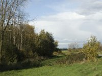 NL, Noord-Brabant, Heusden, Zeedijk 9, Saxifraga-Jan van der Straaten