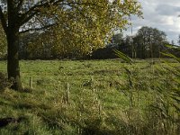 NL, Noord-Brabant, Heusden, de Sompen en Zooislagen 11, Saxifraga-Jan van der Straaten