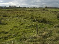 NL, Noord-Brabant, Heusden, de Sompen en Zooislagen 15, Saxifraga-Jan van der Straaten