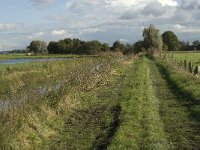 NL, Noord-Brabant, Heusden, de Sompen en Zooislagen 3, Saxifraga-Jan van der Straaten