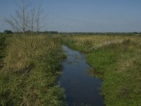 NL, Noord-Brabant, Hilvarenbeek, Reusel 5, Saxifraga-Jan van der Straaten