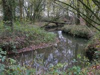 NL, Noord-Brabant, Hilvarenbeek, Reusel in De Hertgang 7, Saxifraga-Tom Heijnen