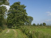 NL, Noord-Brabant, Hilvarenbeek, Spruitenstroompje 30, Saxifraga-Jan van der Straaten